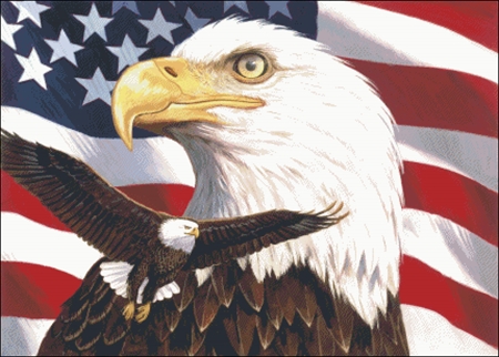 Eagle And Flag